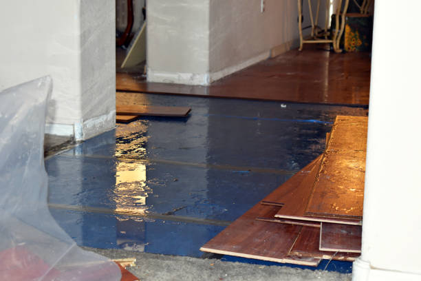 Professional Water Extraction technician working in Palacios, TX